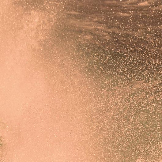 Winner's Circle 🔵 